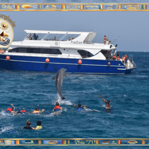 Dolphin House Hurghada