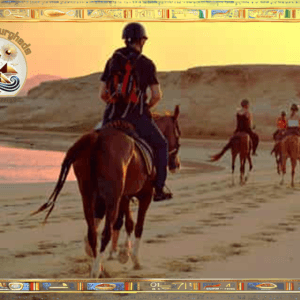 Horse riding in Hurghada (2 hours private )