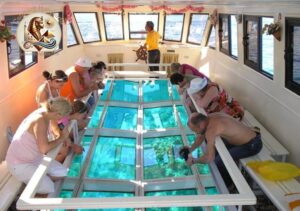 Excursie cu Barca de Sticlă în Hurghada