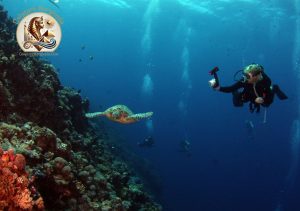 Scufundări în Hurghada