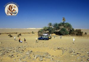 O Aventura în Deșertul Egiptean