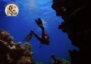 Explorând adâncurile Mării Roșii