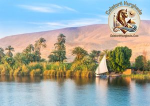 Felucă tradițională navigând sub pânze, ilustrând Magia unei Excursii pe Fluviul Nil printre peisajele verzi și templele antice ale Egiptului.